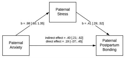 Paternal Postpartum Bonding and Its Predictors in the Early Postpartum Period: Cross-Sectional Study in a Polish Cohort